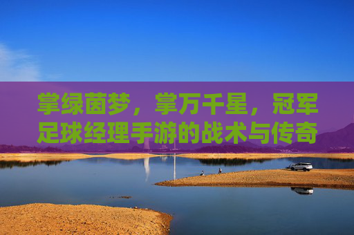 掌绿茵梦，掌万千星，冠军足球经理手游的战术与传奇之旅，冠军足球经理手游，掌战术之策，燃传奇星梦