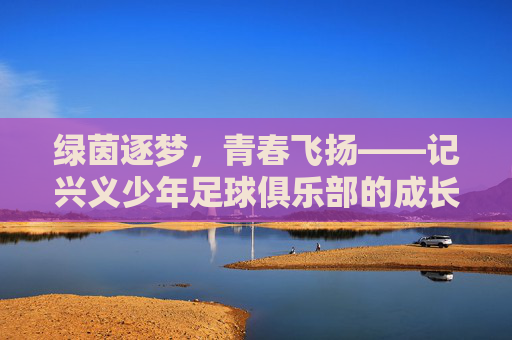 绿茵逐梦，青春飞扬——记兴义少年足球俱乐部的成长与希望，兴义少年足球，绿茵逐梦，成长希望