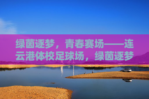 绿茵逐梦，青春赛场——连云港体校足球场，绿茵逐梦青春场——连云港体校足球场