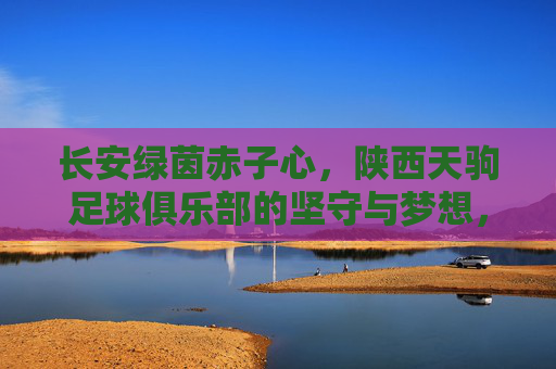 长安绿茵赤子心，陕西天驹足球俱乐部的坚守与梦想，长安绿茵赤子心——陕西天驹足球俱乐部的坚守与梦想