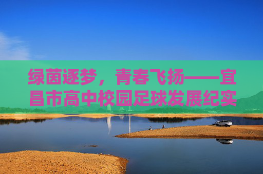 绿茵逐梦，青春飞扬——宜昌市高中校园足球发展纪实