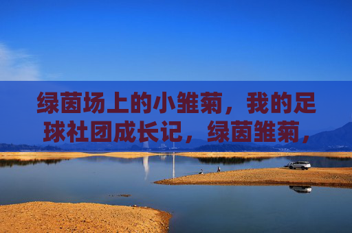 绿茵场上的小雏菊，我的足球社团成长记，绿茵雏菊，足球社团成长记