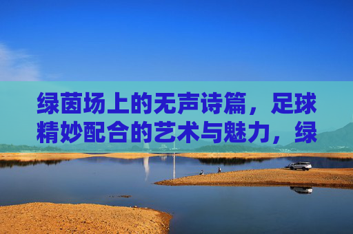 绿茵场上的无声诗篇，足球精妙配合的艺术与魅力，绿茵诗篇，足球精妙配合的艺术