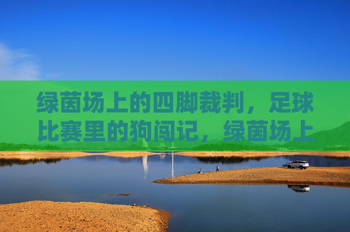 绿茵场上的四脚裁判，足球比赛里的狗闯记，绿茵场上的四脚裁判，足球比赛狗闯记