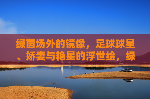 绿茵场外的镜像，足球球星、娇妻与艳星的浮世绘，绿茵场外，球星、娇妻与艳星的浮世绘