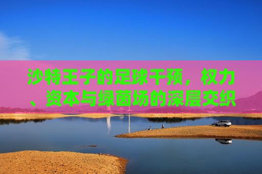沙特王子的足球干预，权力、资本与绿茵场的深层交织，沙特王子的足球干预，权力、资本与绿茵场的深层交织