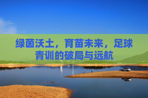 绿茵沃土，育苗未来，足球青训的破局与远航
