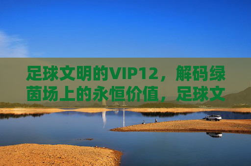 足球文明的VIP12，解码绿茵场上的永恒价值，足球文明VIP12，解码绿茵场永恒价值
