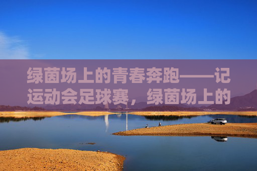 绿茵场上的青春奔跑——记运动会足球赛，绿茵场上的青春奔跑，运动会足球赛