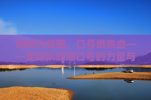 呐喊为绿茵，口号燃热血——足球队加油口号的力量与温度，绿茵呐喊燃热血，足球队加油口号的力量与温度