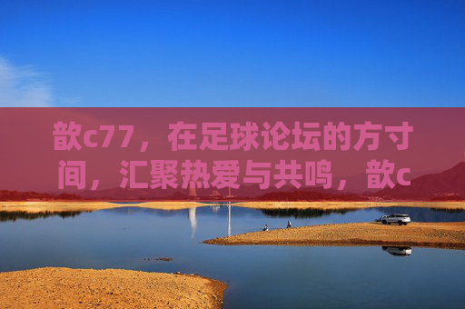 歆c77，在足球论坛的方寸间，汇聚热爱与共鸣，歆c77的足球论坛，方寸间汇聚热爱与共鸣