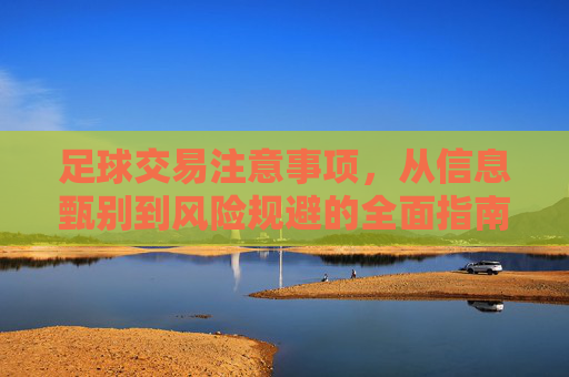 足球交易注意事项，从信息甄别到风险规避的全面指南，足球交易全指南，从信息甄别到风险规避