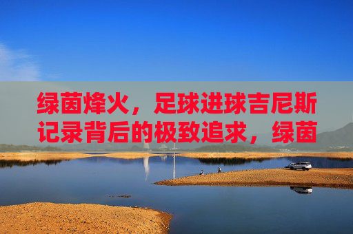 绿茵烽火，足球进球吉尼斯记录背后的极致追求，绿茵烽火，足球进球吉尼斯记录的极致追求