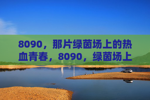 8090，那片绿茵场上的热血青春，8090，绿茵场上的热血青春