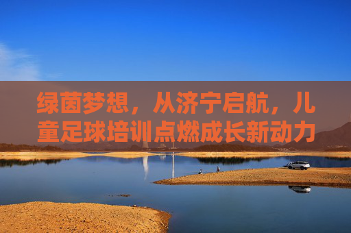 绿茵梦想，从济宁启航，儿童足球培训点燃成长新动力，绿茵梦想济宁启航，儿童足球培训点燃成长新动力