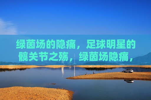 绿茵场的隐痛，足球明星的髋关节之殇，绿茵场隐痛，足球明星的髋关节之殇