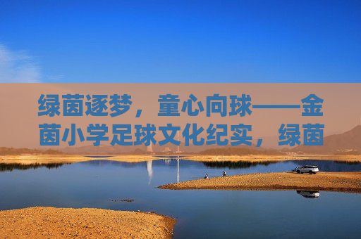 绿茵逐梦，童心向球——金茵小学足球文化纪实，绿茵逐梦，童心向球——金茵小学足球文化