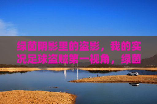 绿茵阴影里的盗影，我的实况足球盗贼第一视角，绿茵盗影，我的实况足球第一视角
