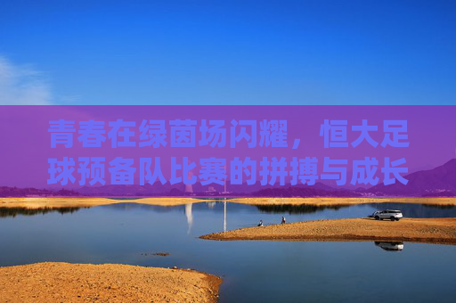 青春在绿茵场闪耀，恒大足球预备队比赛的拼搏与成长，青春闪耀绿茵场，恒大预备队的拼搏成长