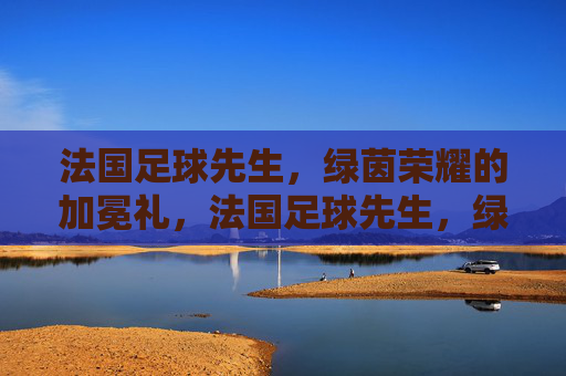 法国足球先生，绿茵荣耀的加冕礼，法国足球先生，绿茵荣耀的加冕礼