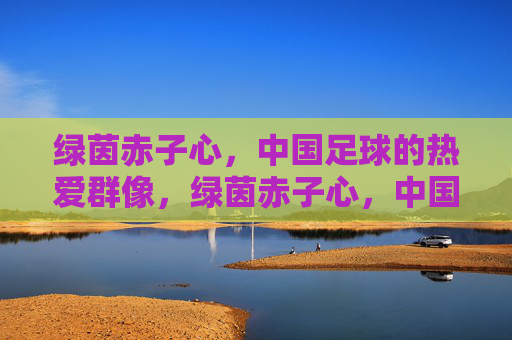 绿茵赤子心，中国足球的热爱群像，绿茵赤子心，中国足球热爱群像