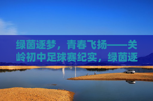 绿茵逐梦，青春飞扬——关岭初中足球赛纪实，绿茵逐梦，青春飞扬——关岭初中足球赛纪实