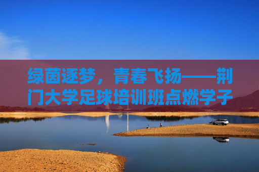 绿茵逐梦，青春飞扬——荆门大学足球培训班点燃学子足球热情，荆门大学足球培训班，绿茵逐梦点燃青春热情