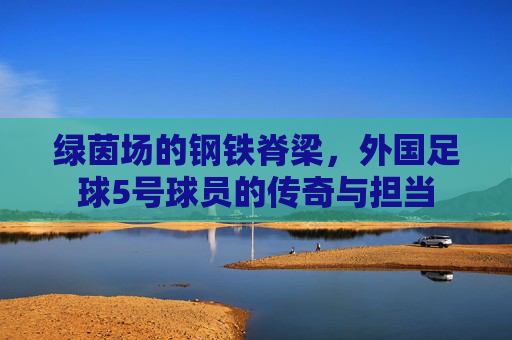 绿茵场的钢铁脊梁，外国足球5号球员的传奇与担当