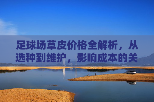 足球场草皮价格全解析，从选种到维护，影响成本的关键因素，足球场草皮价格全解析，选种到维护的成本关键因素