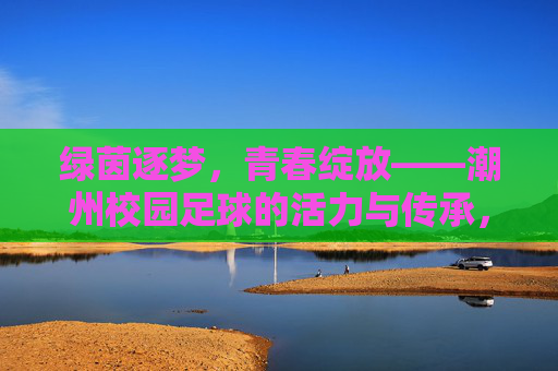 绿茵逐梦，青春绽放——潮州校园足球的活力与传承，绿茵逐梦，青春绽放，潮州校园足球的活力传承