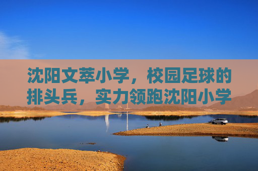 沈阳文萃小学，校园足球的排头兵，实力领跑沈阳小学足坛