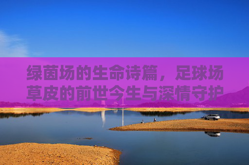绿茵场的生命诗篇，足球场草皮的前世今生与深情守护，绿茵场的生命诗篇，草皮的前世今生与深情守护