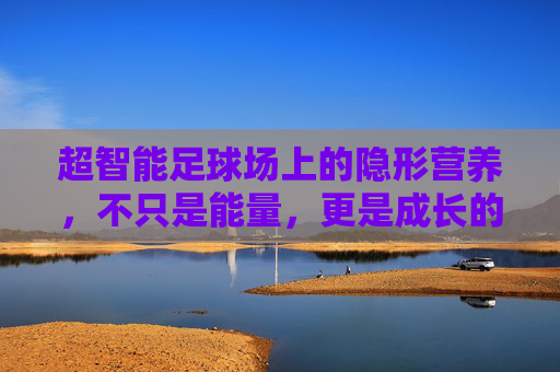 超智能足球场上的隐形营养，不只是能量，更是成长的催化剂，超智能足球场的隐形营养，成长的催化剂