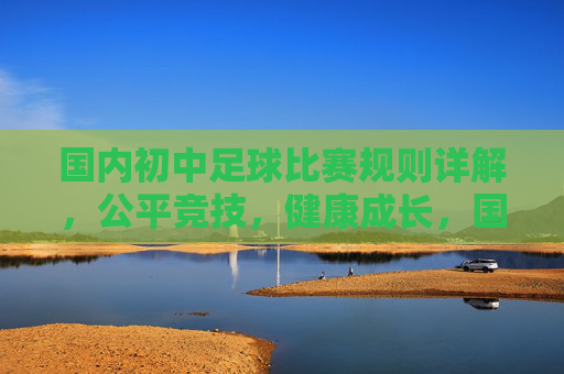 国内初中足球比赛规则详解，公平竞技，健康成长，国内初中足球比赛规则详解，公平竞技，健康成长