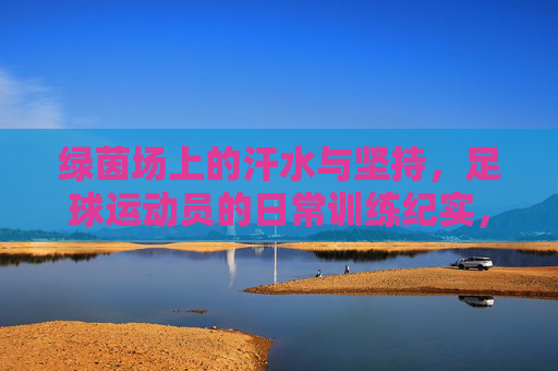 绿茵场上的汗水与坚持，足球运动员的日常训练纪实，绿茵场上的汗水与坚持，足球运动员日常训练纪实