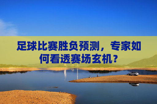 足球比赛胜负预测，专家如何看透赛场玄机？