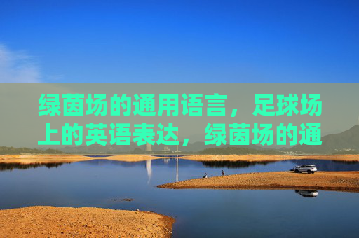 绿茵场的通用语言，足球场上的英语表达，绿茵场的通用语言，足球场上的英语表达