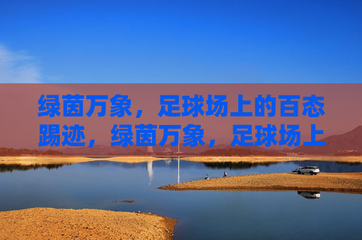 绿茵万象，足球场上的百态踢迹，绿茵万象，足球场上的百态踢迹