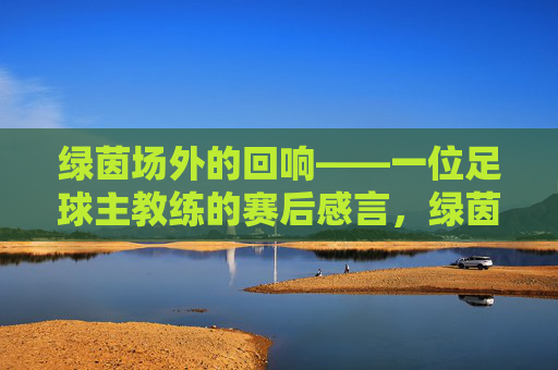绿茵场外的回响——一位足球主教练的赛后感言，绿茵场外的回响，足球主教练赛后感言