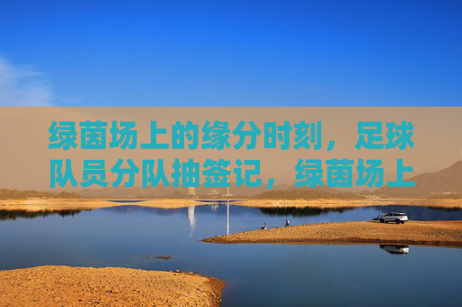 绿茵场上的缘分时刻，足球队员分队抽签记，绿茵场上的缘分抽签