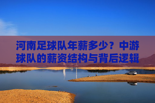 河南足球队年薪多少？中游球队的薪资结构与背后逻辑，河南足球队年薪揭秘，中游球队的薪资结构与背后逻辑