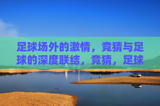足球场外的激情，竞猜与足球的深度联结，竞猜，足球场外激情的深度联结