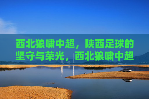 西北狼啸中超，陕西足球的坚守与荣光，西北狼啸中超，陕西足球的坚守与荣光