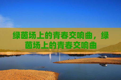 绿茵场上的青春交响曲，绿茵场上的青春交响曲