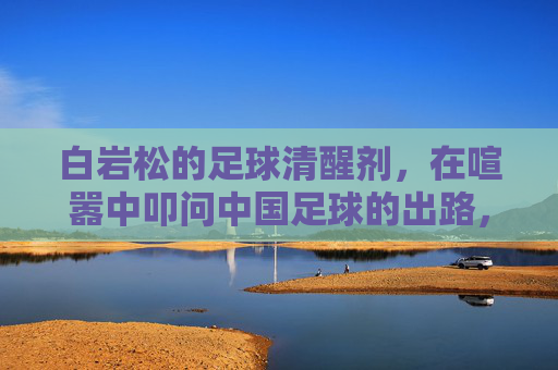 白岩松的足球清醒剂，在喧嚣中叩问中国足球的出路，白岩松的足球清醒剂，喧嚣中叩问中国足球出路