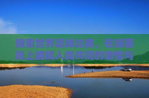 搜索世界足球比赛，在绿茵场上捕捉人类共同的激情与梦想，足球，绿茵场上的共同激情与梦想