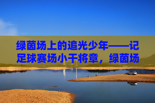绿茵场上的追光少年——记足球赛场小干将章，绿茵场上的追光少年，足球小将章