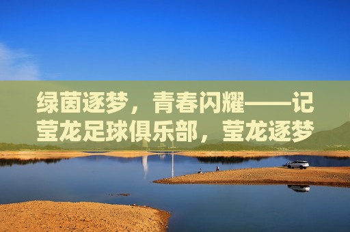 绿茵逐梦，青春闪耀——记莹龙足球俱乐部，莹龙逐梦，绿茵场上的青春闪耀