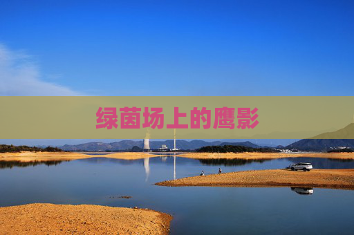 绿茵场上的鹰影