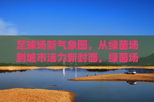 足球场新气象图，从绿茵场到城市活力新封面，绿茵场蝶变，城市活力新封面